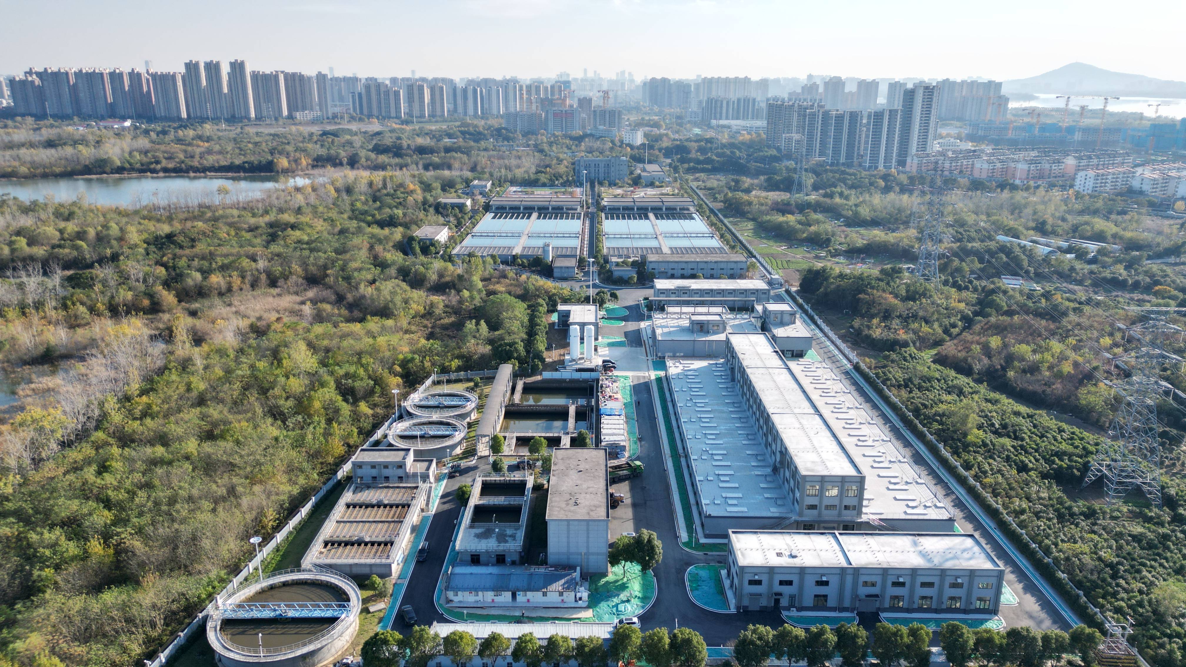黑河市合肥专业企业价值增长(合肥市重点企业产业目录)