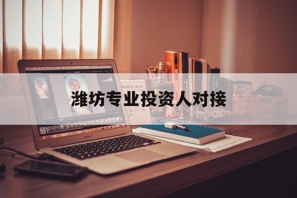 黑河市潍坊专业投资人对接(潍坊专业投资人对接中心)