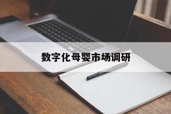 黑河市数字化母婴市场调研(数字化母婴市场调研报告)